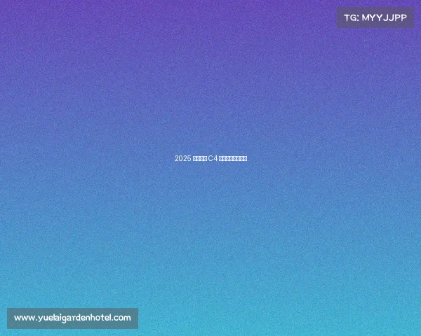 2025 款雪铁龙 C4 改款——焕然一新 2025 款雪铁龙 C4 改款——焕然一新